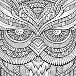 Owl Eyes by Olga Kostenko