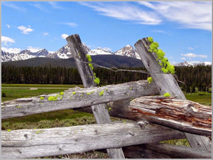 Wall Cling- Sawtooth Mountains & fence