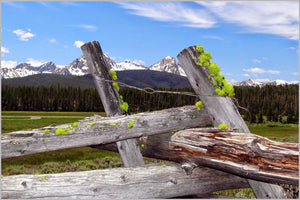 Wall Cling- Sawtooth Mountains & fence