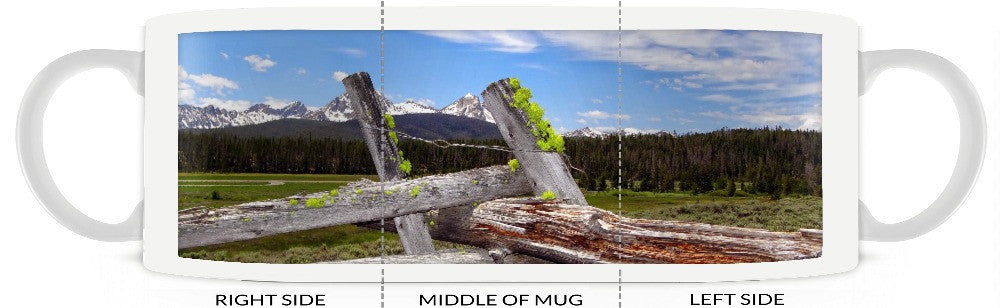 Mug-Sawtooth Mountain Fence