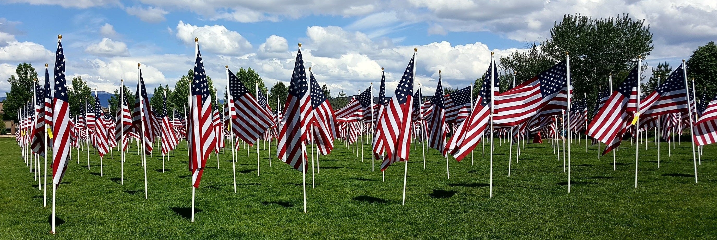 Flags Honoring Our Veterans, panorama
